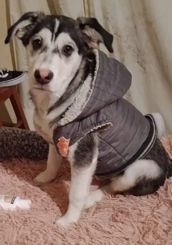 IMG-20250220-WA0078(1)