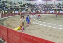 Galerías; Toros en la Alejandra, de las figuras internacionales Guillermo Hermoso de Mendoza y André Lagravere “El Galo”
