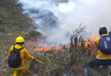 Debe fortalecerse cultura de prevención de incendios forestales