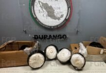 Diez kgs. de metanfetamina aseguró la FGR en Durango a empresa de paquetería