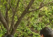 Convive Marisol Rosso con estudiantes del CECyTED