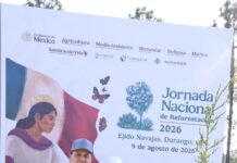 Congreso de Durango se suma a Jornada Nacional de Reforestación