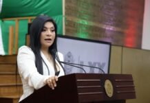 Necesario dar seguimiento integral a personas que atraviesen crisis suicida: Diputada Milàn